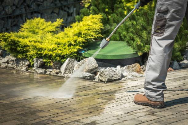 Best Spring Cleaning  in Mount Carmel, IL