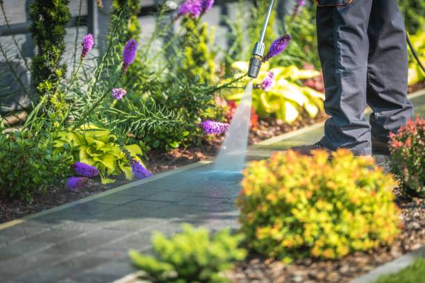 Reliable Mount Carmel, IL Pressure Washing Services Solutions
